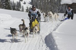 Kandersteg 2013